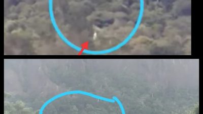 Viral! Penampakan Sesosok Bayangan Putih Gemparkan Warga Bukit Kelam Sintang