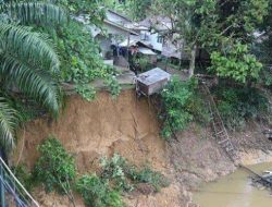 Curah Hujan Tinggi, Tebing Di Dekat Jembatan Gantung Penanjung Longsor
