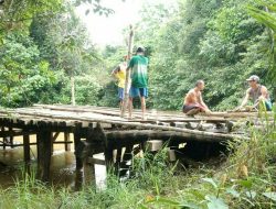 Jembatan Akses Antar Dusun di Desa Sungai Mawang Rusak Parah