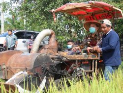 Wabup Dan Anggota Komisi IV DPR RI Panen Perdana Padi Varietas Inpari 37 Di Desa Tunggal Bhakti