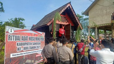 DAD Sanggau Gelar Ritual Adat Nosu Minu Podi Ke 17